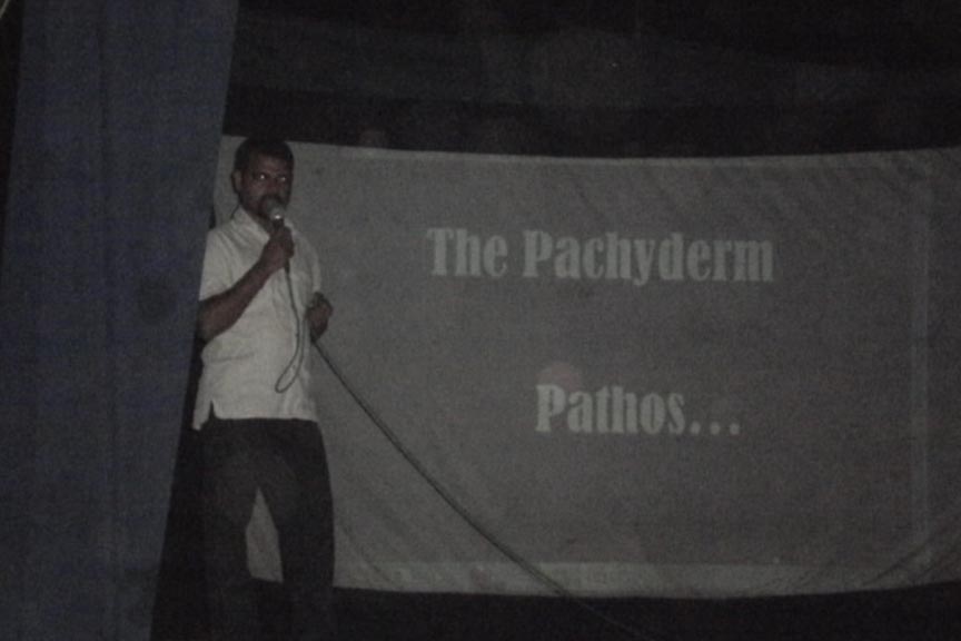 Elephant conservation talk in a temple festival